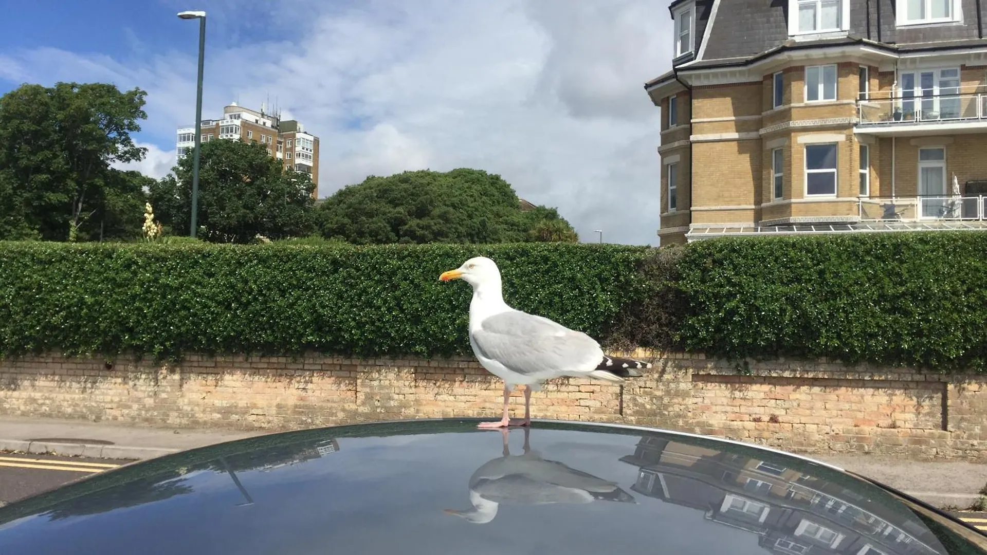Apartamento St Michaels Road - Explore Bournemouth Reino Unido